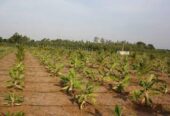 ICAR Krishi Vigyan Kendra, Ariyalur – Bridging Science and Farming