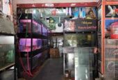 A to Z Aquarium 2.0 – Ariyalur’s Trusted Source for Ornamental Fish & Aquatic Supplies