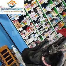 Kavimithra Veterinary Clinic – Trusted Pet & Livestock Care in Ariyalur