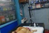 Kavimithra Veterinary Clinic – Trusted Pet & Livestock Care in Ariyalur