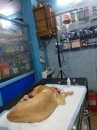 Kavimithra Veterinary Clinic – Trusted Pet & Livestock Care in Ariyalur