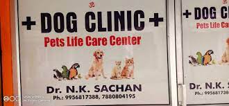 Thillai Pet Clinic – Trusted Veterinary Care in Ariyalur