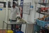 Compassionate Pet Care at Happy Paws Clinic – Trusted by Pet Parents in Ariyalur