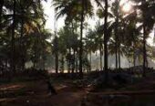 Kurian’s Organic Farms & Resorts – Kerala’s Sustainable Harvest & Nature Retreat