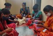 Government Industrial Training Institute (Women)