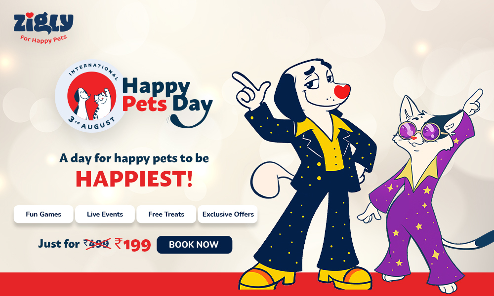 Zigly – Vet Clinic & Pet Care Hub | Where Pet Wellness Meets Compassionate Expertise