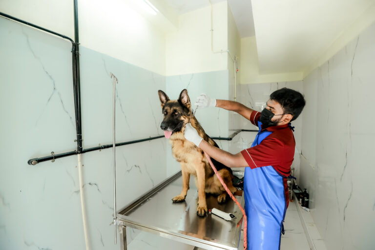 FUR & FEATHER PET CLINIC