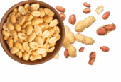 Proeon : Leading Plant-Based Protein Manufacturer in India