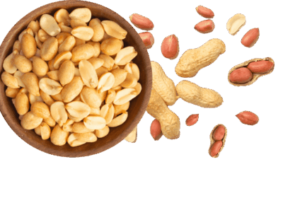 our-proteins-2-1
