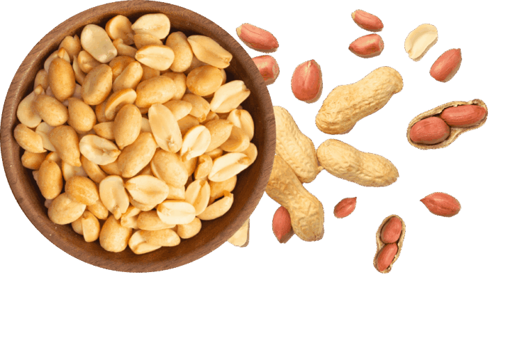 Proeon : Leading Plant-Based Protein Manufacturer in India