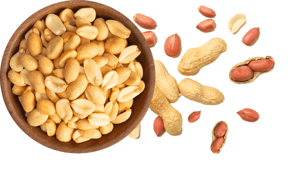 Proeon : Leading Plant-Based Protein Manufacturer in India