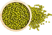 Proeon : Leading Plant-Based Protein Manufacturer in India