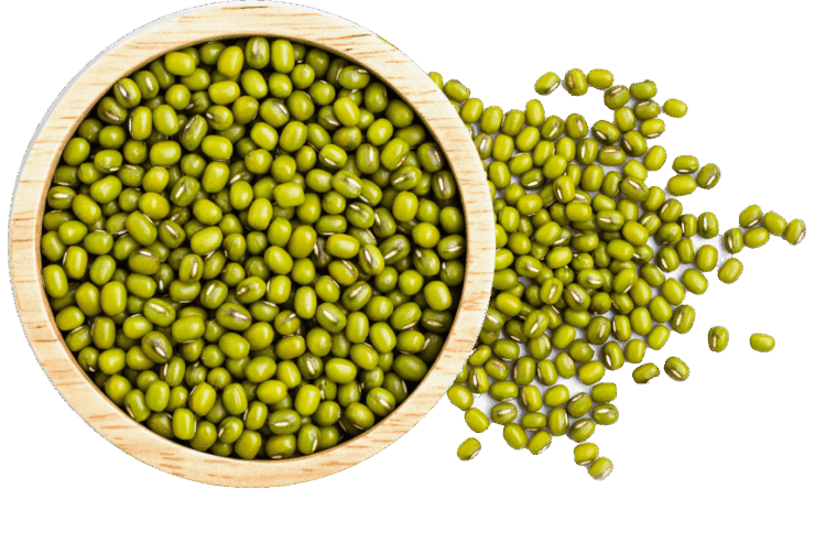 Proeon : Leading Plant-Based Protein Manufacturer in India