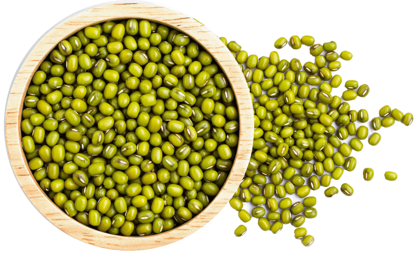 Proeon : Leading Plant-Based Protein Manufacturer in India