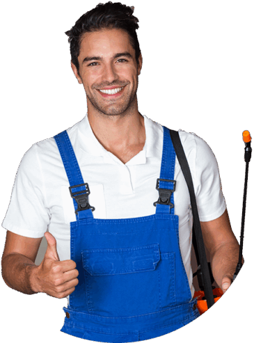 Cassini Pest Control